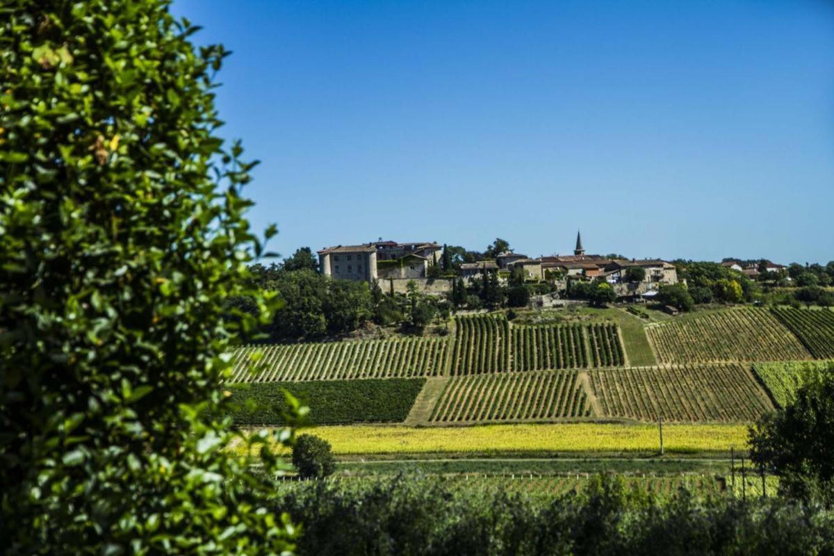 Vila Chez Simone Senouillac Exteriér fotografie